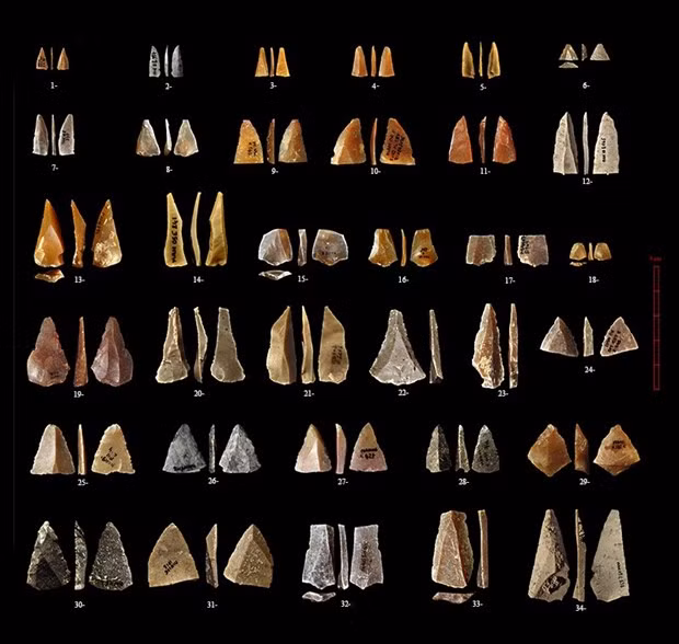 Những đồ tạo tác bao gồm những con dao Neanderthals bằng đá và xương cuối cùng trên Trái Đất, kho báu vô giá để chúng ta hiểu thêm về những vị tổ tiên dị chủng. Những hiện vật này cho thấy sự "lan tỏa ý tưởng" giữa 2 loài người trong việc sáng tạo ra các công cụ và đồ trang trí: Chúng ngày càng giống công cụ của Homo sapiens "thuần chủng".