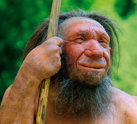 Cụ thể, người Neanderthals ở đây đã tuyệt chủng từ khoảng 40.870 - 40.457 năm về trước, trong khi Homo sapiens xuất hiện khoảng 42.500 năm trước.