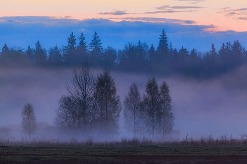 Nhóm nghiên cứu cũng xác định được hai cấu trúc kiên cố.