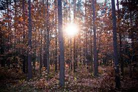 Cấu trúc thứ hai có đường kính khoảng 17 m, có nhiều dấu tích của vật liệu hữu cơ từ thế kỷ 4 đến 3 trước Công nguyên và thế kỷ 7 - 10 sau Công nguyên.