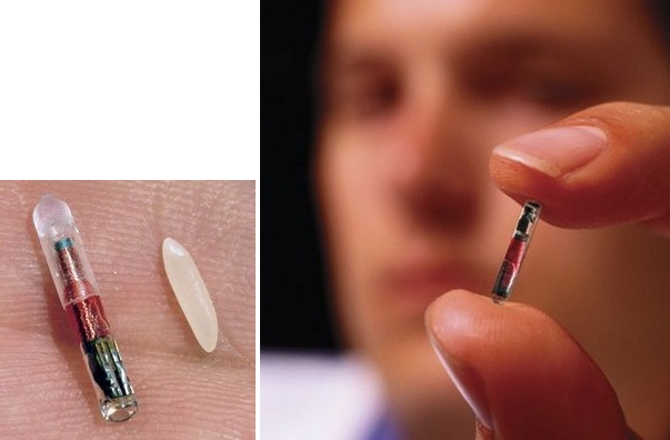 Có lẽ, chính chiếc vi mạch đã nâng cao khả năng tư duy và lãnh đạo giúp Napoleon có trí nhớ phi phàm, trí óc linh hoạt, có khả năng đọc rất nhanh những ý nghĩ trong đầu cho thư ký ghi chép, cùng một lúc đọc cho nhiều thư ký về những vấn đề khác nhau. Các nhà khoa học cũng cho biết rằng, vật thể kỳ bí này có thể là một vật cấy của người ngoài hành tinh, và đây chính là bằng chứng về vụ việc Napoleon từng bị bắt cóc bởi UFO.