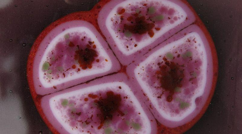 Các dữ liệu tiết lộ vi khuẩn Conan có thể duy trì dòng giống của mình thông qua trạng thái đông lạnh và có thể là những giai đoạn hồi sinh ngắt quãng trong suốt 1,5 triệu năm nếu nằm ở 10 cm dưới bề mặt Sao Hỏa. Ở độ sâu 10 mét, chúng có thể tồn tại 280 triệu năm.