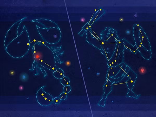 Những ngôi sao sáng nhất của chòm sao này là Rigel và Betelgeuse, vinh dự nằm trong số 10 ngôi sao sáng nhất bầu trời. Cả hai đều là những sao siêu khổng lồ và nằm trong số những ngôi sao có cấp sao biểu kiến I cách xa Trái Đất nhất.