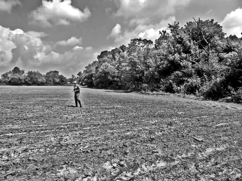  2. Kỳ án về David Lang: Vụ án nổi tiếng này diễn ra vào tháng 9/1880 ở một trang trại gần Gallatin, bang Tennesse (Mỹ), trong sự chứng kiến từ đầu đến cuối của một vài nhân chứng.