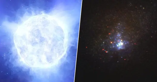 Andrew Allan của Đại học Trinity College Dublin, Ireland, trưởng nhóm quan sát nói, "Sẽ rất bất thường nếu một ngôi sao lớn như vậy biến mất mà không tạo ra một vụ nổ siêu tân tinh sáng."