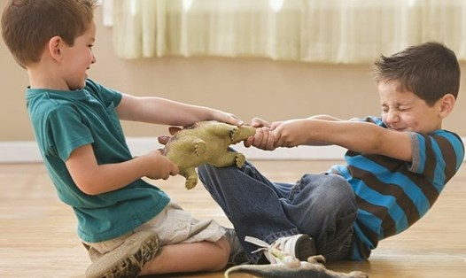 Một nghiên cứu năm 2007 cho thấy rằng những anh/chị cả trong gia đình thường có chỉ số IQ cao hơn khoảng 3 điểm so với người em gần nhất.