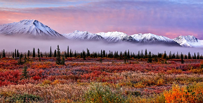  4. Alaska: Bắt đầu từ cuối tháng năm đến cuối tháng 7 hằng năm, mặt trời ở Alaska sẽ không bao giờ “ngủ” cho bạn thỏa sức rong chơi suốt 24/24 giờ.