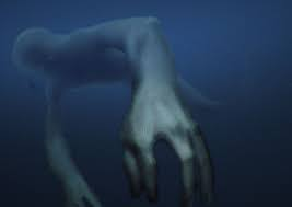 Theo đó, chiều dài thân của nó vào khoảng 20 - 29m. Điểm khiến nó trở nên đáng sợ trong mắt những người phát hiện là hình dáng giống con người: Nó có 2 cánh tay, 5 ngón tay trên mỗi bàn và có phần đầu giống loài người.