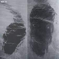 4. Quái vật biển đảo Hook: Một trong những bức tranh nổi tiếng nhất thế giới - quái vật đảo Hook, khá quen thuộc với mọi người. Được phát hiện tại vịnh Stonehave, đảo Hook, Queensland vào năm 1964, bức ảnh có hình một con vật giống nòng nọc khổng lồ, lượn lờ trong vùng nước nông.