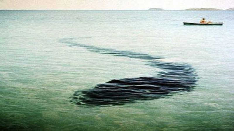 Theo đó, con vật có chiều dài khoảng hơn 20m. Nhiếp ảnh gia quả quyết rằng họ đã nhìn thấy con vật khi đi thuyền gần đó. Cho rằng nó đã chết, nhiếp ảnh gia nọ định nhảy xuống biển và quay phim nhưng bị mọi người giữ lại khi nó đột ngột mở miệng và di chuyển về phía anh ta.