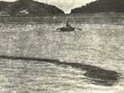 Tuy nhiên, nhiều người cho rằng nhiếp ảnh gia này đã bịa ra toàn bộ câu chuyện và dàn dựng bức ảnh ấy. Đó có thể chỉ là một đàn cá hay cái gì đó tương tự.