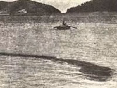 Tuy nhiên, nhiều người cho rằng nhiếp ảnh gia này đã bịa ra toàn bộ câu chuyện và dàn dựng bức ảnh ấy. Đó có thể chỉ là một đàn cá hay cái gì đó tương tự.