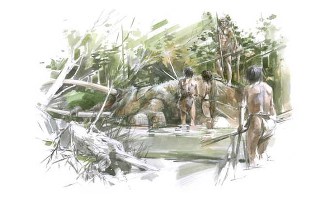 Việc phát hiện ra chiếc ngà hoàn toàn tách rời khỏi hộp sọ khiến các nhà khoa học nghi ngờ rằng con người cổ đại - chắc chắn là một loài người khác vì thời điểm đó Homo sapiens chúng ta chưa xuất hiện - đã săn bắn và giết thịt siêu quái vật này cũng như đồng loại của nó.