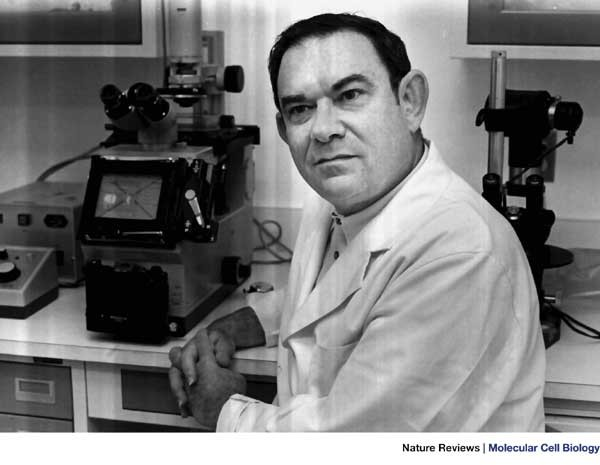 Trong 2 năm nghiên cứu, Hayflick phát hiện ra rằng lão hóa tế bào có liên quan đến tuổi tác của cơ thể con người và đó là lý do tại sao chúng ta chỉ sống được khoảng 125 tuổi. Trong một nghiên cứu khác được thực hiện, ông đã xem xét các tế bào được thu thập từ các bộ phận khác nhau của cơ thể cũng như so sánh các tế bào được thu thập từ người lớn và bào thai.