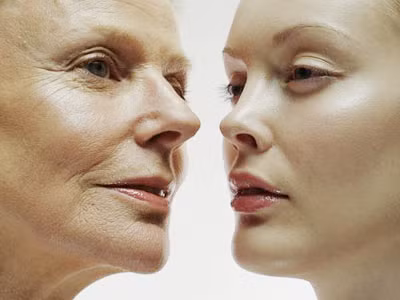 Cơ thể thoái hóa và do đó theo thời gian, chúng ta sẽ chết. Lý thuyết này được mô tả rất tỉ mỉ trong bài báo của ông, khi ông đề cập rằng độ dài của các telomere được trình bày trong các tế bào khác nhau có thể mất ít nhiều thời gian để rút ngắn đến điểm dừng phân chia tế bào.