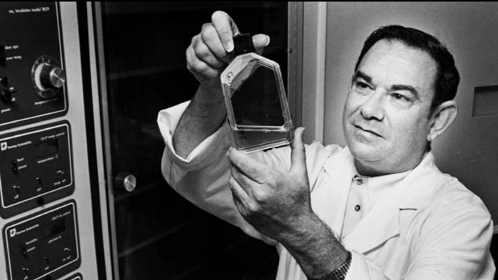 Ở trên, chúng ta có thể thấy nghiên cứu được thực hiện bởi Heyflick vào năm 1961, nơi ông đã cố gắng xem một tế bào có thể nhân đôi và phân chia bao nhiêu lần trong quá trình nuôi cấy tế bào. Khi lần nguyên phân thứ 50 hoàn thành, tế bào sẽ bắt đầu quá trình apoptosis tại đó và dần chết đi. Đây là một đại diện hoàn hảo cho quá trình lão hóa của con người.