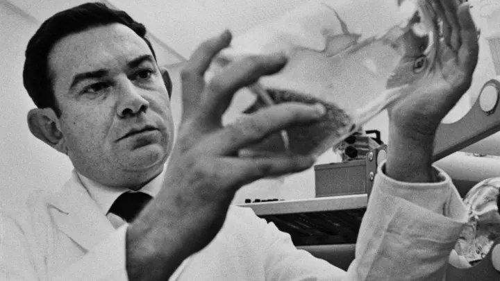 Khái niệm về giới hạn Hayflick đã được nhà giải phẫu học người Mỹ Leonard Hayflick đưa ra vào năm 1961 tại Viện Wistar ở Philadelphia, Pennsylvania, Hoa Kỳ. Phát hiện này đã bác bỏ luận điểm rằng các tế bào bình thường là bất tử của Alexis Carrel, người đoạt giải Nobel người Pháp.