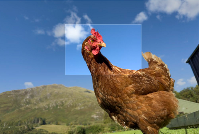 Sau đó, để giữ nguyên độ phân giải, thiết bị buộc phải tự điều chỉnh hay “vẽ lại” hình ảnh cho rõ nét. Nhược điểm của zoom kỹ thuật số là sẽ làm ảnh chụp bị giảm mật độ điểm ảnh và chất lượng. 