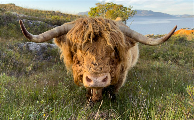 Hiện nay, công nghệ zoom này đang ngày càng tân tiến khi tích hợp các công nghệ AI hay máy học.