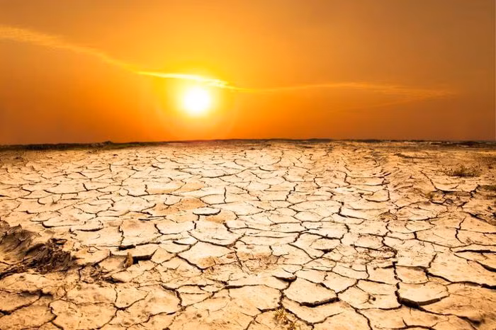 Nếu mưa vĩnh viễn ngừng rơi khỏi bầu trời Trái đất, điều đầu tiên xảy ra sẽ là những đợt hạn hán khủng khiếp trên toàn thế giới. Mùa hè năm 2022 đã cho cả thế giới nếm thử việc thiếu mưa sẽ dẫn đến hậu quả nghiêm trọng như thế nào. Các khu vực của châu Phi đã phải trải qua nạn đói nghiêm trọng trong khi các con sông và hồ chứa bắt đầu cạn kiệt trên khắp Châu Âu, Đông Á và Bắc Mỹ. Kết quả là những cánh đồng chết, cỏ úa vàng và cháy rừng ngày càng xảy ra thường xuyên và nghiêm trọng.