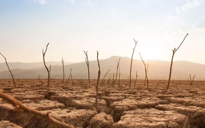 Nếu mưa ngừng rơi hoàn toàn, hạn hán sẽ tiếp tục tồi tệ hơn. Rất nhanh chóng, các con sông sẽ bắt đầu cạn kiệt, và cả quần thể con người và động vật hoang dã sống dựa vào chúng để sinh tồn sẽ bị đe dọa nghiêm trọng.