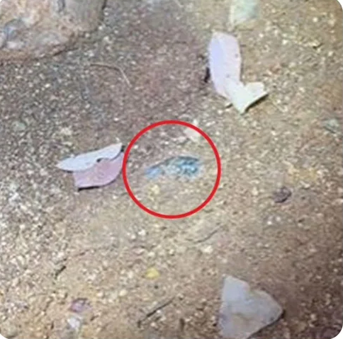 Lúc đầu, anh tỏ ra khá bình thường khi nhìn thấy tia sáng lấp lánh, anh lấy điện thoại soi sáng và quay video quá trình đào bới để lấy ra viên đá quý bất ngờ. Không ai ngờ rằng ánh sáng trong bụi cây đó là một viên đá sapphire 834 carat, ước tính trị giá khoảng 12.500 USD, tương đương khoảng hơn 310 triệu đồng.