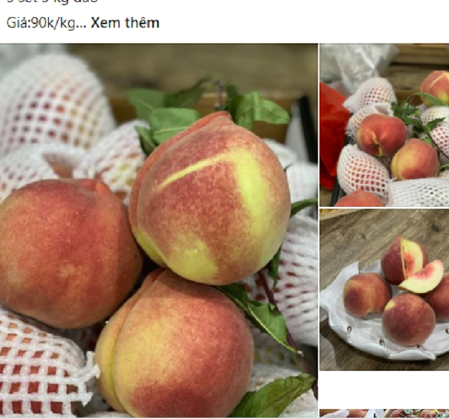 Loai trai cay qua nang toi nua kg mot qua “dat nhu tom tuoi