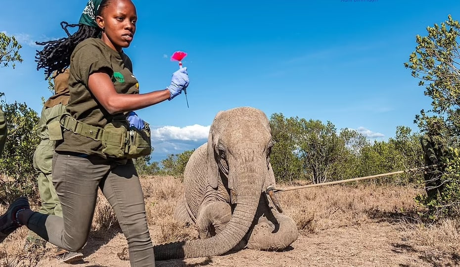 An tuong canh dep ngoan muc cua thien nhien khien nguoi xem tram tro-Hinh-8