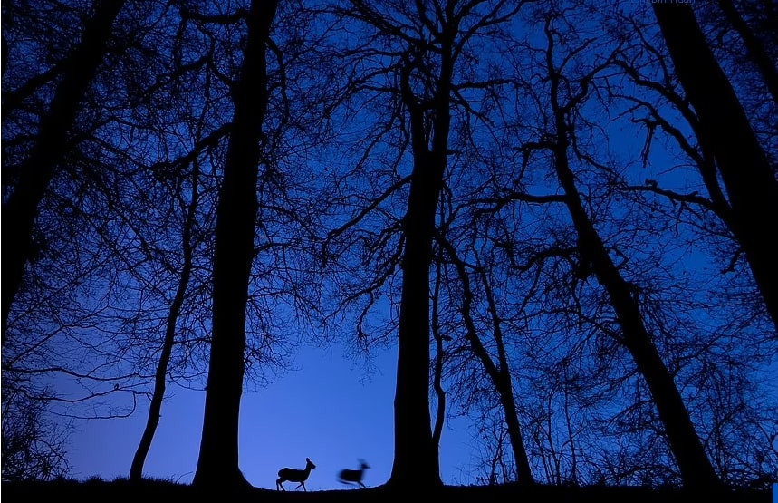 An tuong canh dep ngoan muc cua thien nhien khien nguoi xem tram tro-Hinh-7