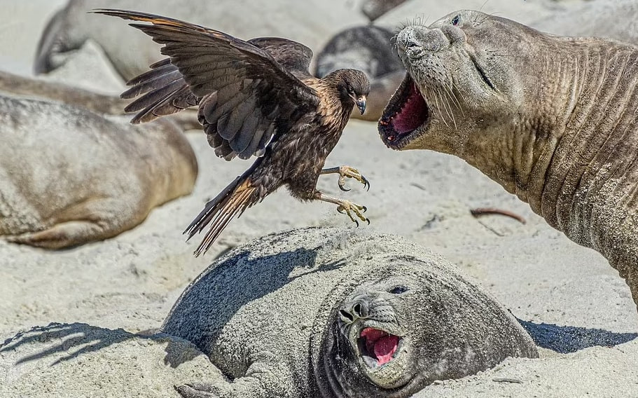 An tuong canh dep ngoan muc cua thien nhien khien nguoi xem tram tro-Hinh-6