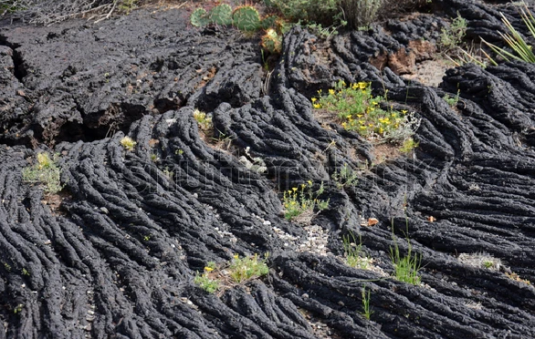Dòng dung nham có tên gọi là Carrizozo Malpaís, diện tích khoảng 337 km vuông và dài khoảng 80 km, nằm gần thành phố Carrizozo, trong sa mạc Chihuahuan ở New Mexico. 