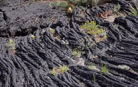 Dòng dung nham có tên gọi là Carrizozo Malpaís, diện tích khoảng 337 km vuông và dài khoảng 80 km, nằm gần thành phố Carrizozo, trong sa mạc Chihuahuan ở New Mexico. 