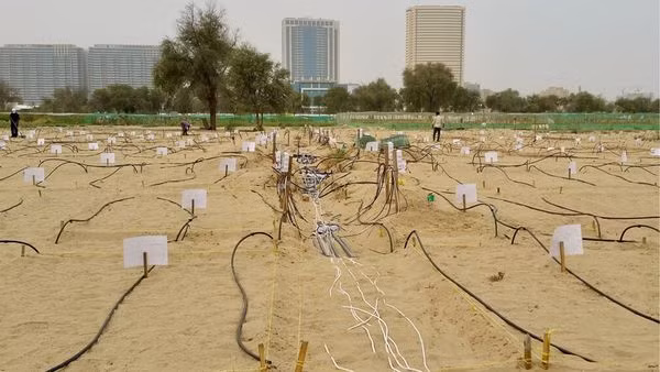 Đất sét nano lỏng nghe có vẻ lạ, nhưng nó được tạo ra chỉ bằng nước và đất sét. Bí quyết của công ty chính là khả năng biến đất sét dày thành một chất lỏng “mỏng gần như nước”, sau đó phun lên cát, thấm vào lớp trên cùng đến vài chục cm.