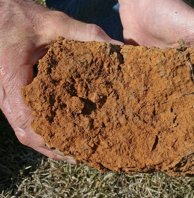 Suốt hàng nghìn năm qua, nông dân trên khắp thế giới đã sử dụng đất sét để tăng độ phì nhiêu cho đất. Trong số đó, đồng bằng sông Nile nổi tiếng phì nhiêu nhờ đất sét.