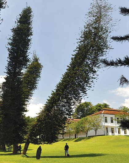 Nguyên nhân chính xác gây nên hiện tượng "Góc nghiêng bí ẩn" này đến nay vẫn chưa được lý giải.