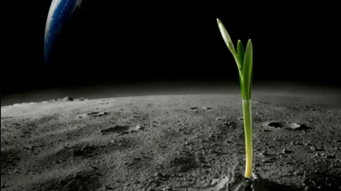 Theo Sciencealert, khí metyl bromua từ lâu đã gắn liền với sự sống trên Trái Đất. Khí này tồn tại một cách hoàn toàn tự nhiên, xuất phát từ quá trình tự bảo vệ của thực vật, hay methyl hóa.