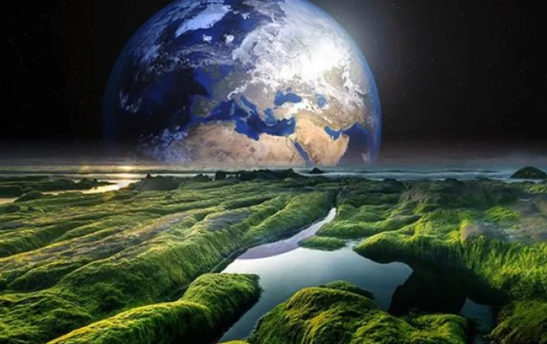 Tờ Sci-News dẫn lời tiến sĩ Leung: "Quái trình methyl hóa rất phổ biến trên Trái đất, vì vậy chúng tôi mong đợi sự sống ở bất kỳ nơi nào khác có thể thực hiện nó. Hầu hết các tế bào đều có cơ chế tống xuất các chất độc hại".