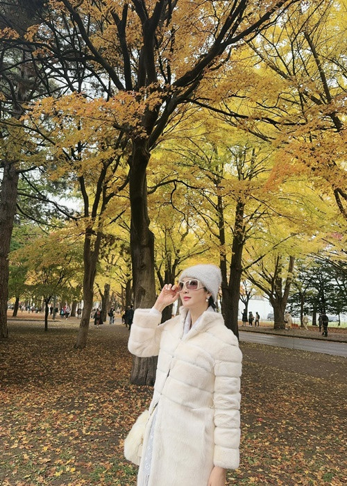 Giáng My nỗ lực làm việc trong nhiều năm. Ngoài hoạt động showbiz, cô còn kinh doanh.