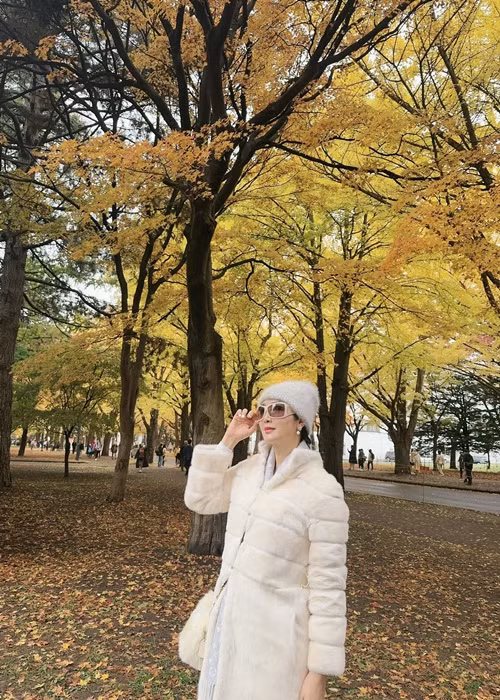 Giáng My nỗ lực làm việc trong nhiều năm. Ngoài hoạt động showbiz, cô còn kinh doanh.