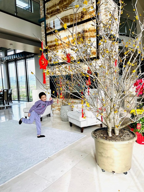 Con trai Đan Trường sinh ra "đã ngậm thìa vàng". Hiện tại, cậu nhóc sống trong biệt thự ở Mỹ cùng mẹ. Ảnh: FB Thủy Tiên.