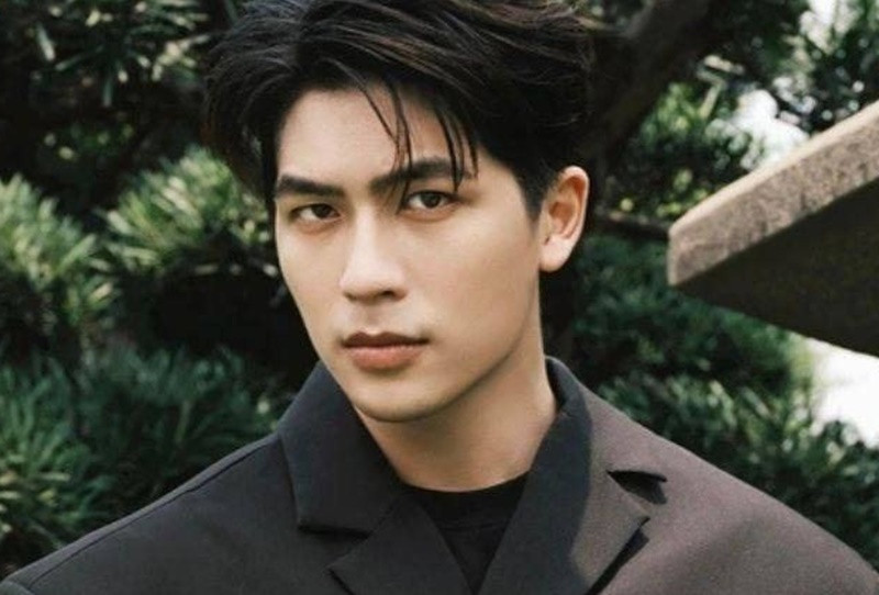 Quốc Anh lọt top 10 đề cử Diễn viên nam ấn tượng tại VTV Awards 2024. Anh đóng vai Lâm thời trẻ trong Chúng ta của 8 năm sau năm 2024. Trước đó, anh góp mặt trong các dự án phim truyền hình ở TP HCM.