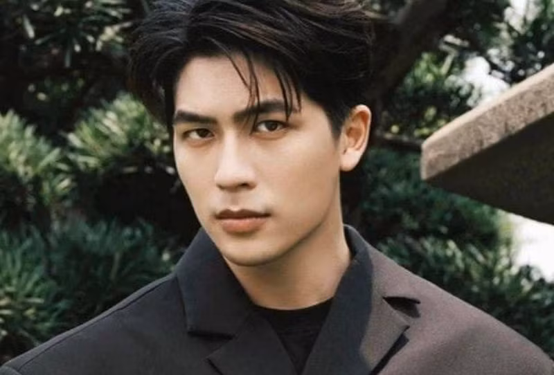 Quốc Anh lọt top 10 đề cử Diễn viên nam ấn tượng tại VTV Awards 2024. Anh đóng vai Lâm thời trẻ trong Chúng ta của 8 năm sau năm 2024. Trước đó, anh góp mặt trong các dự án phim truyền hình ở TP HCM.