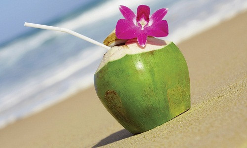 Nếu dừa là sở thích trái cây thì bạn là người khá nghiêm túc, kín đáo, hay suy tư, bướng bỉnh nhưng không ngang ngược. Thông minh, nhanh trí, có trách nhiệm với công việc là ưu điểm của bạn.