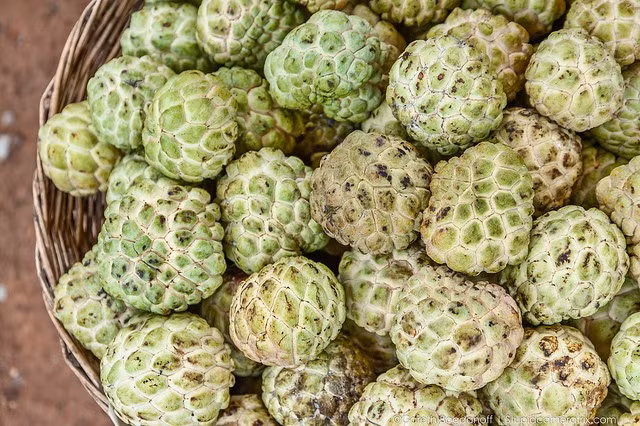 Người yêu thích quả na thường nhạy cảm và khiêm tốn. Suy nghĩ chín chắn nên những người này ít khi làm việc gì một cách nóng vội.