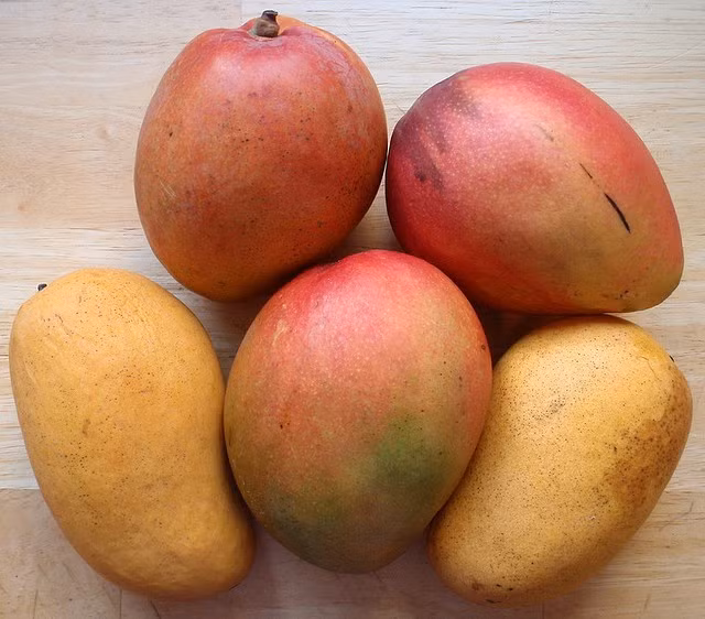 Mạnh mẽ nhưng những người yêu xoài lại giống như một con mèo ngoan ngoãn khi ở bên bạn đời.