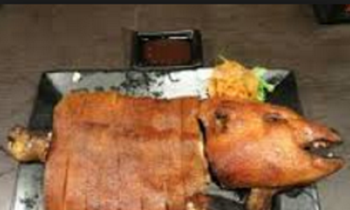 Sau khi mang về, heo được nuôi bằng thức ăn bổ dưỡng cho sinh sản. Đến đời thứ ba thì lấy heo sữa, ướp cùng dược liệu quý đem chưng cách thủy.