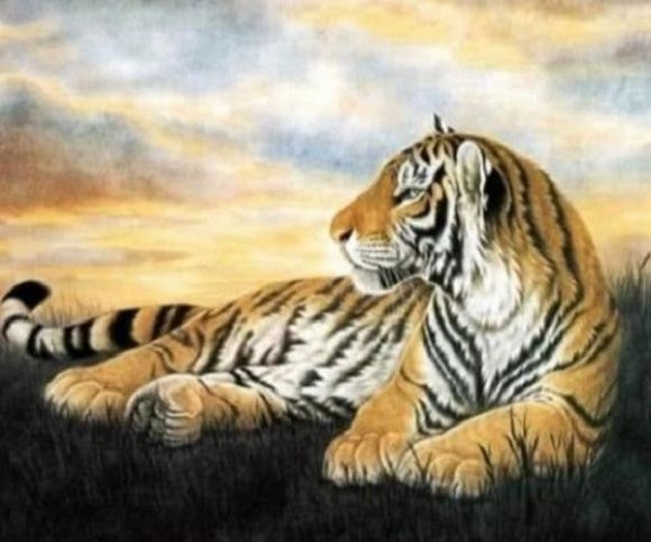 Cuoi nam, xem van may cua 12 con giap, con giap nao tot nhat