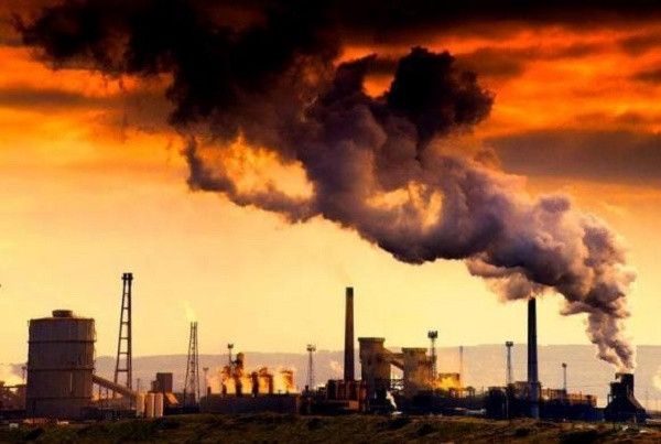 5 loai thuc pham hay con goi la 