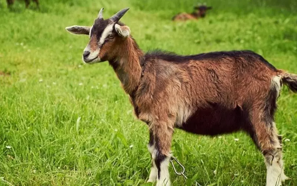 Tu 15h ngay 2 - 5/12, 3 tuoi nay ganh tien moi vai-Hinh-2