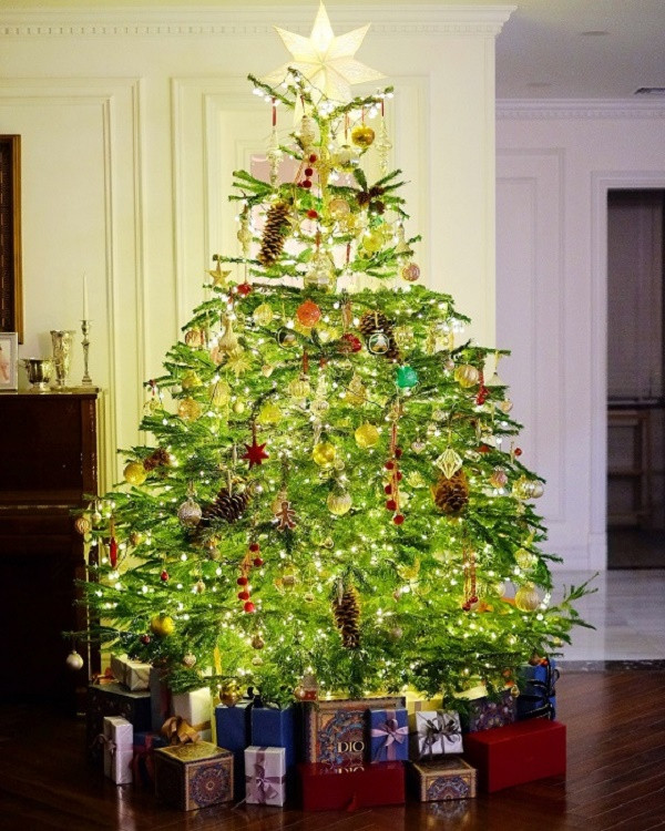 Nhà giàu chi trăm triệu mua thông tươi đi máy bay về Việt Nam Nha giau chi tram trieu mua thong tuoi di may bay ve Viet Nam